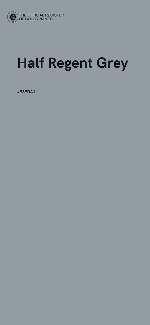 #939DA1 - Half Regent Grey color image