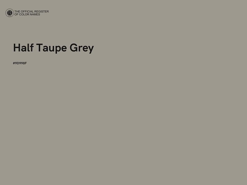 #9D998F - Half Taupe Grey color image