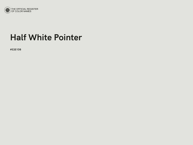 #E2E1DB - Half White Pointer color image