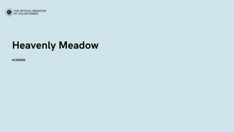 #CDE5E8 - Heavenly Meadow color image