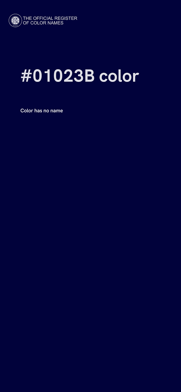 #01023B color image