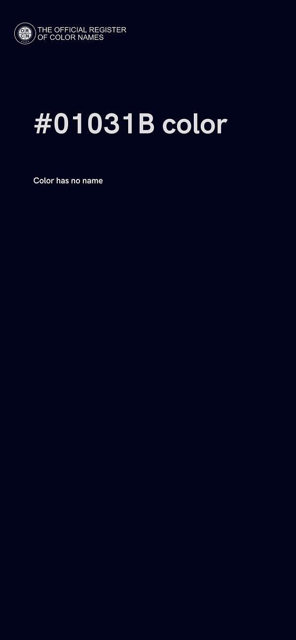 #01031B color image