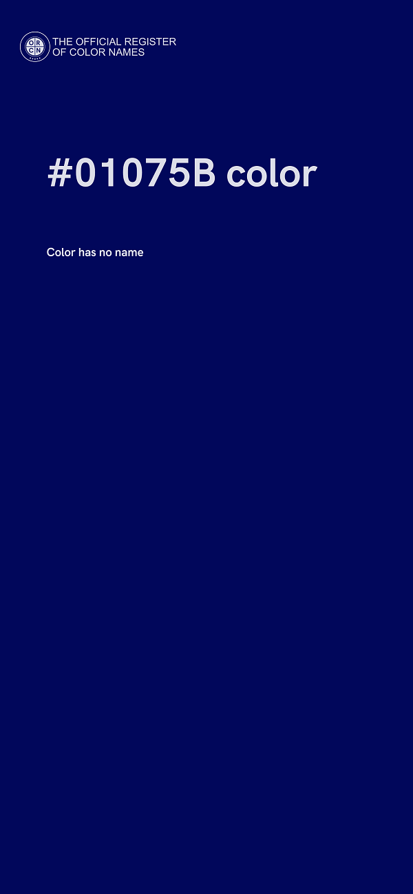 #01075B color image