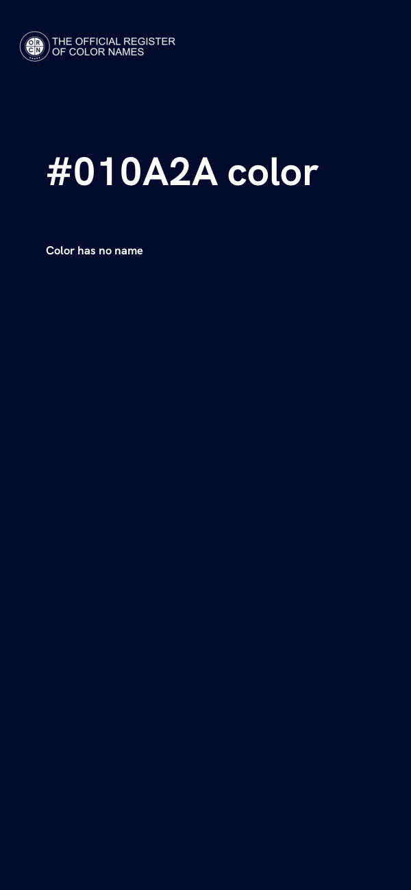 #010A2A color image