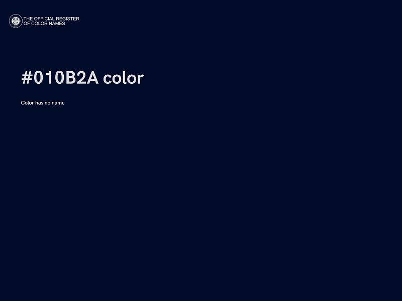 #010B2A color image