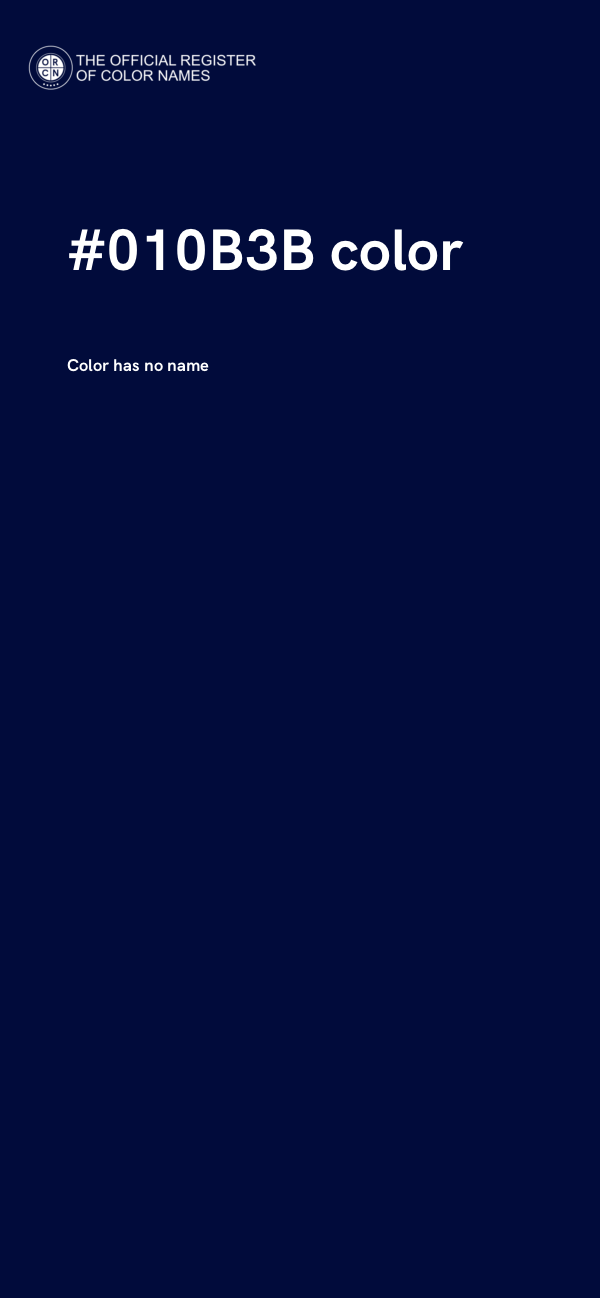 #010B3B color image