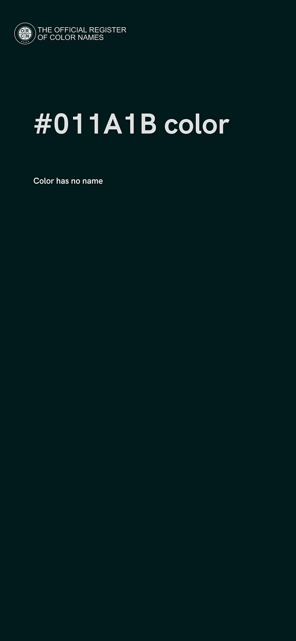 #011A1B color image
