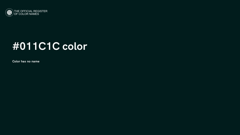 #011C1C color image