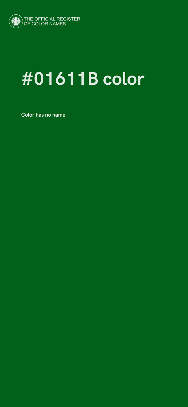 #01611B color image