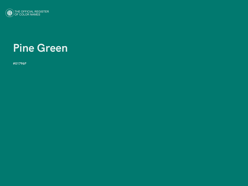 #01796F - Pine Green color image