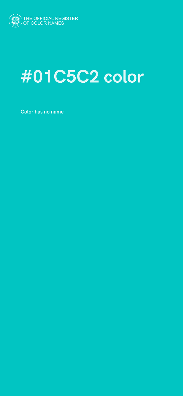 #01C5C2 color image