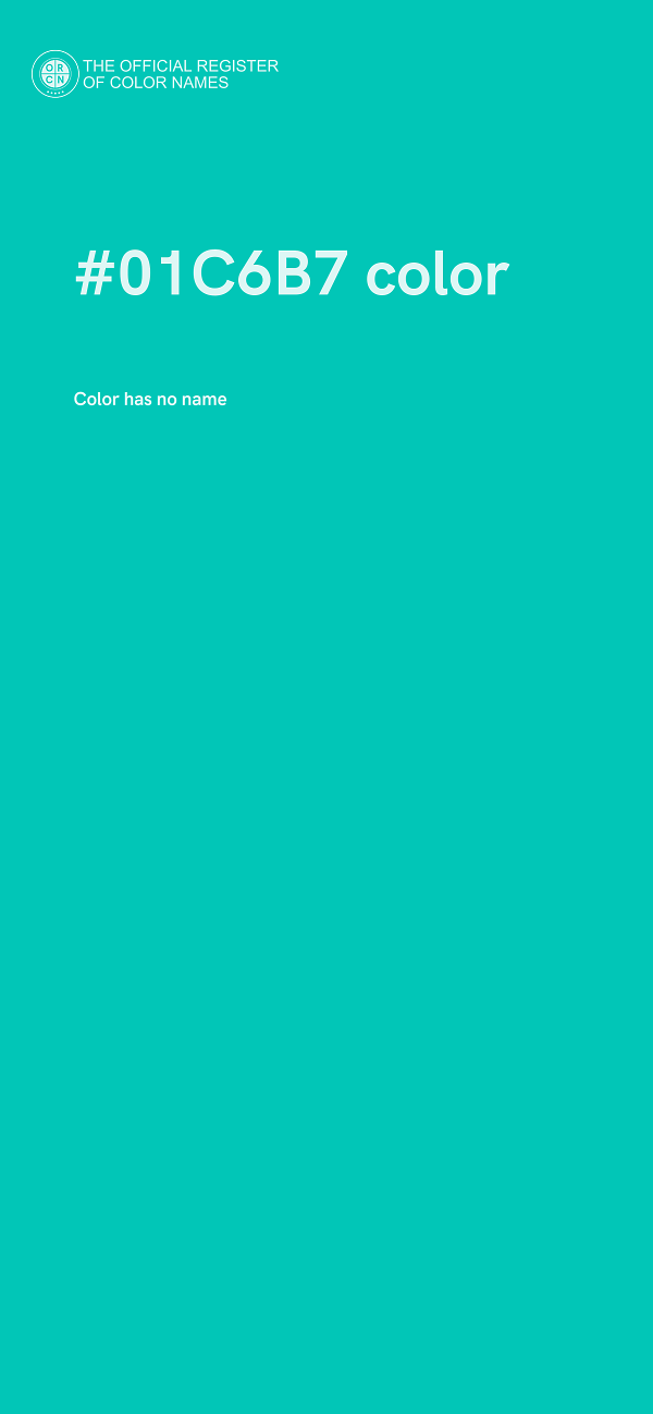 #01C6B7 color image
