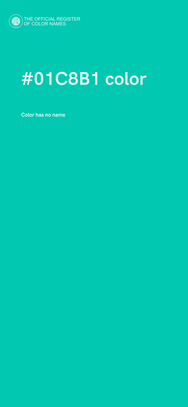 #01C8B1 color image
