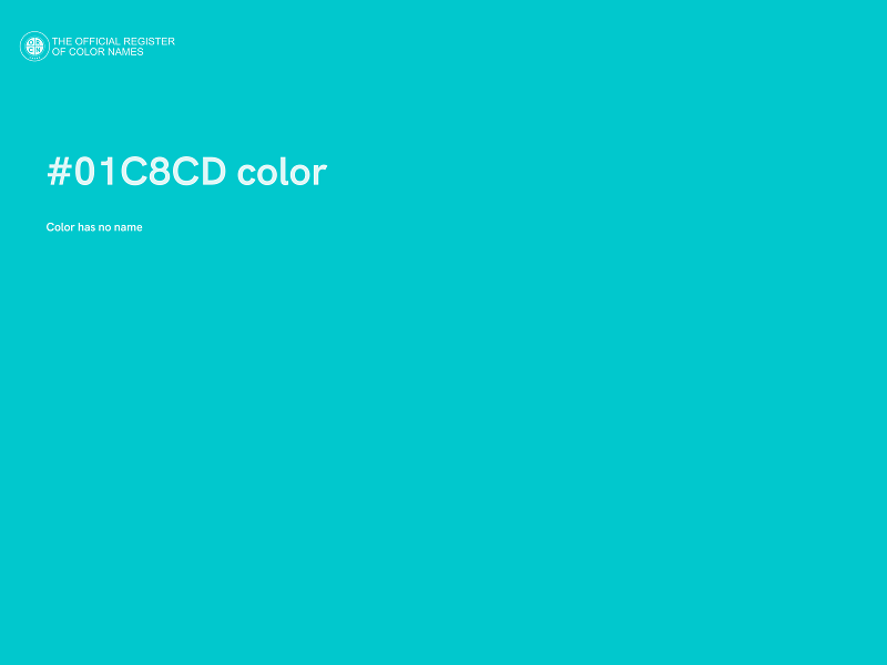 #01C8CD color image