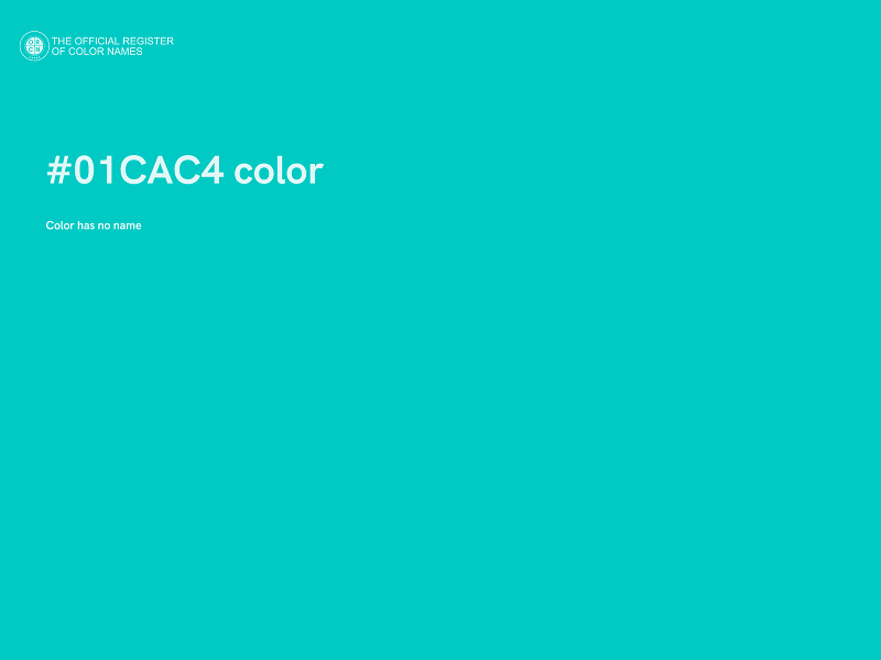#01CAC4 color image