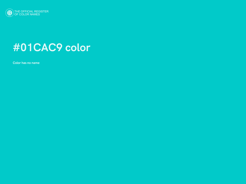 #01CAC9 color image