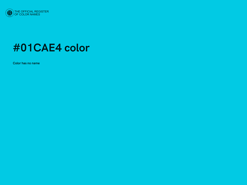 #01CAE4 color image