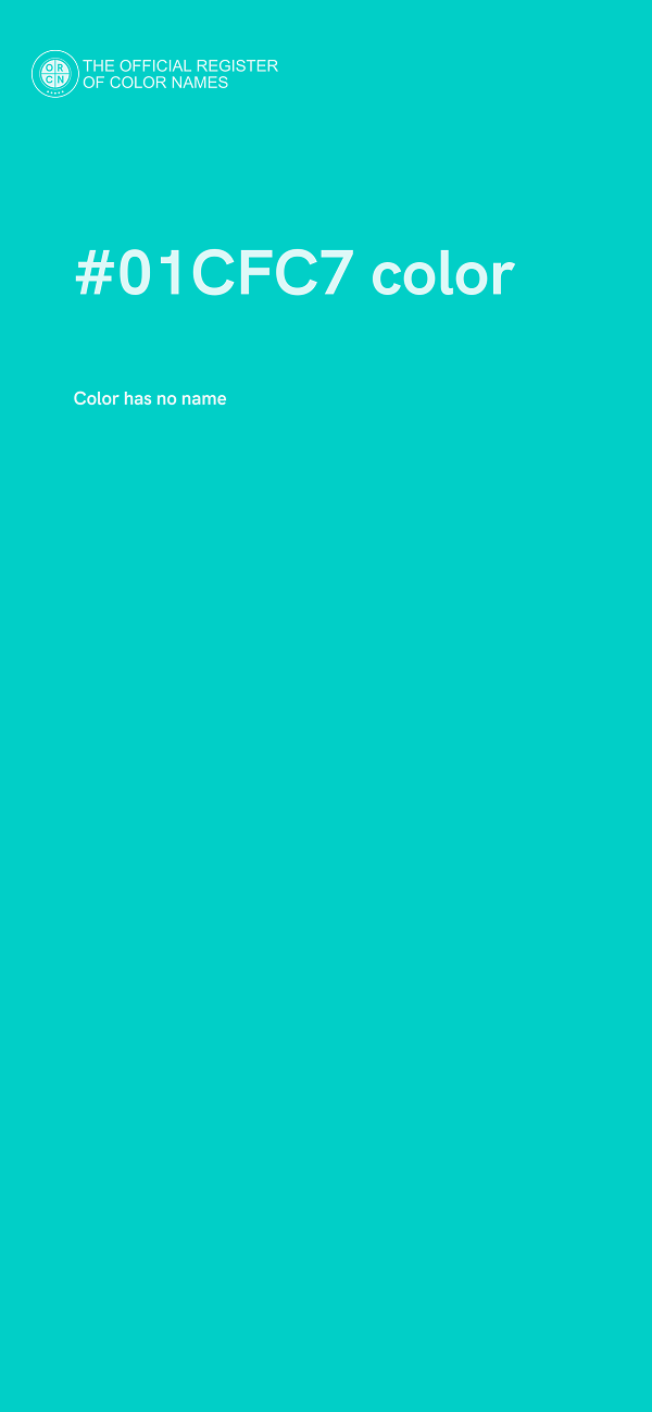#01CFC7 color image