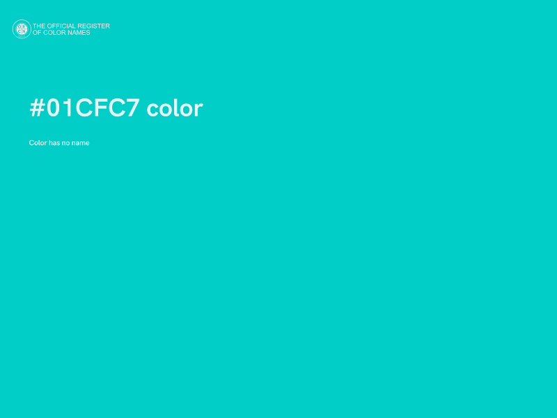 #01CFC7 color image