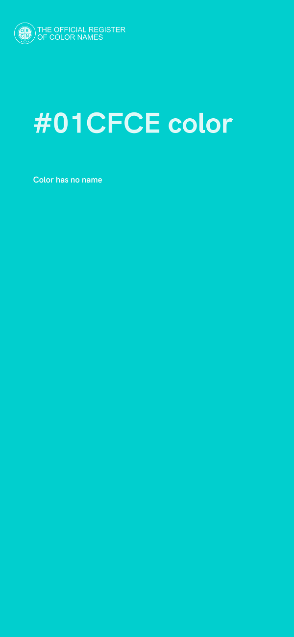 #01CFCE color image