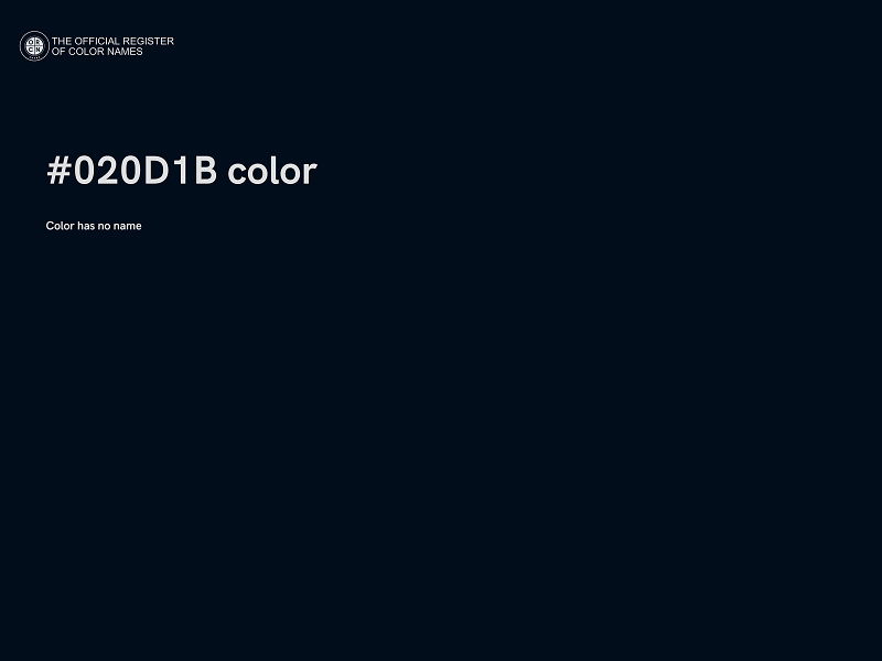 #020D1B color image