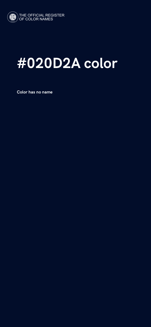 #020D2A color image