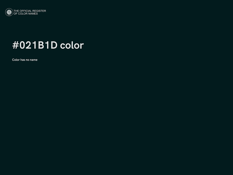 #021B1D color image