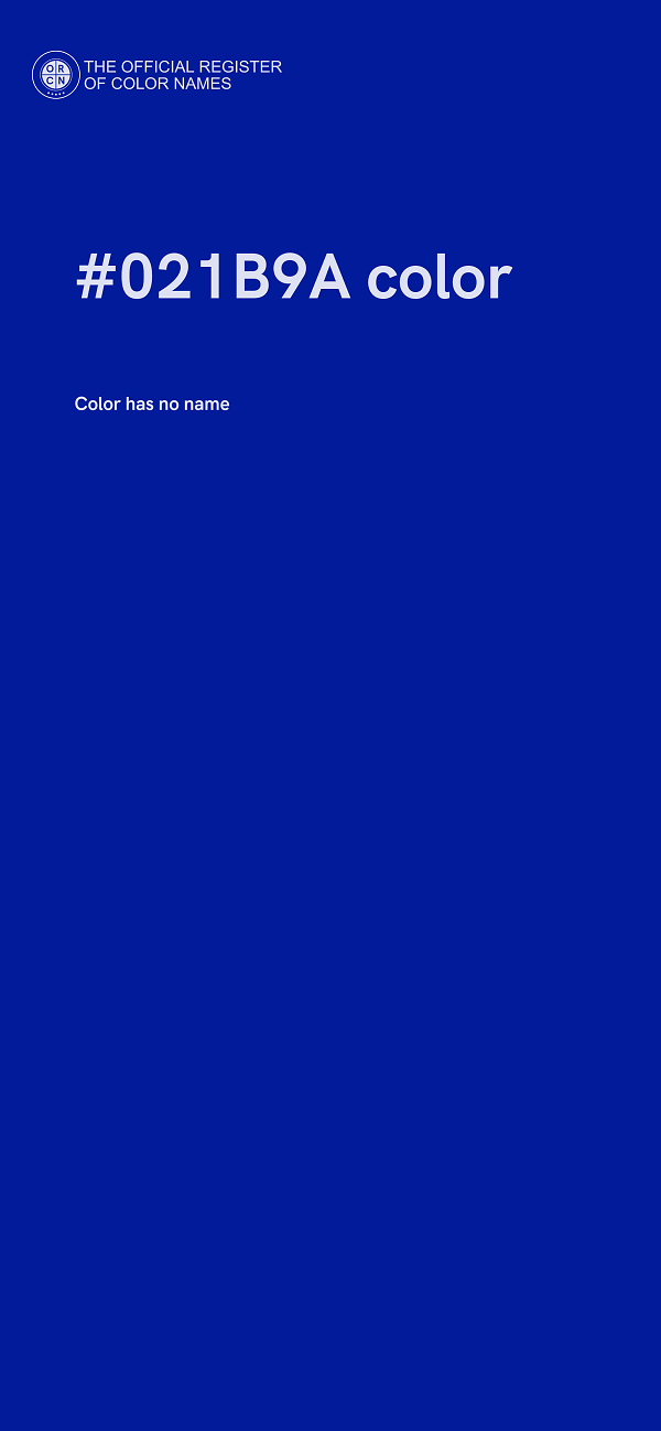 #021B9A color image