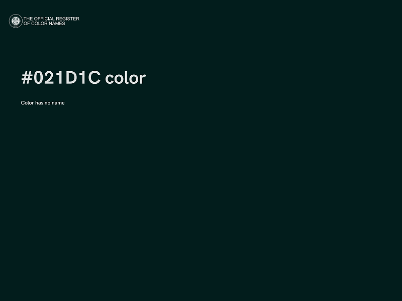 #021D1C color image