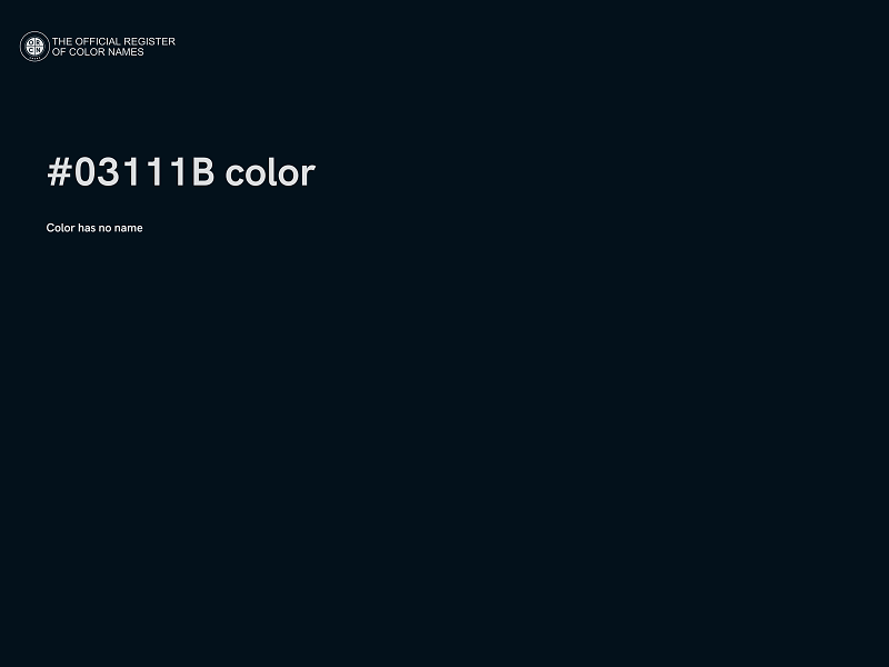 #03111B color image