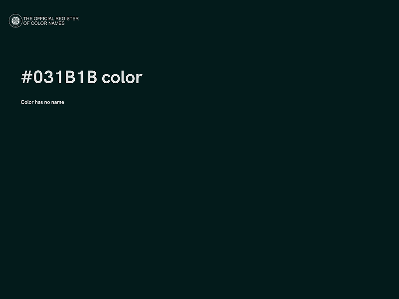 #031B1B color image