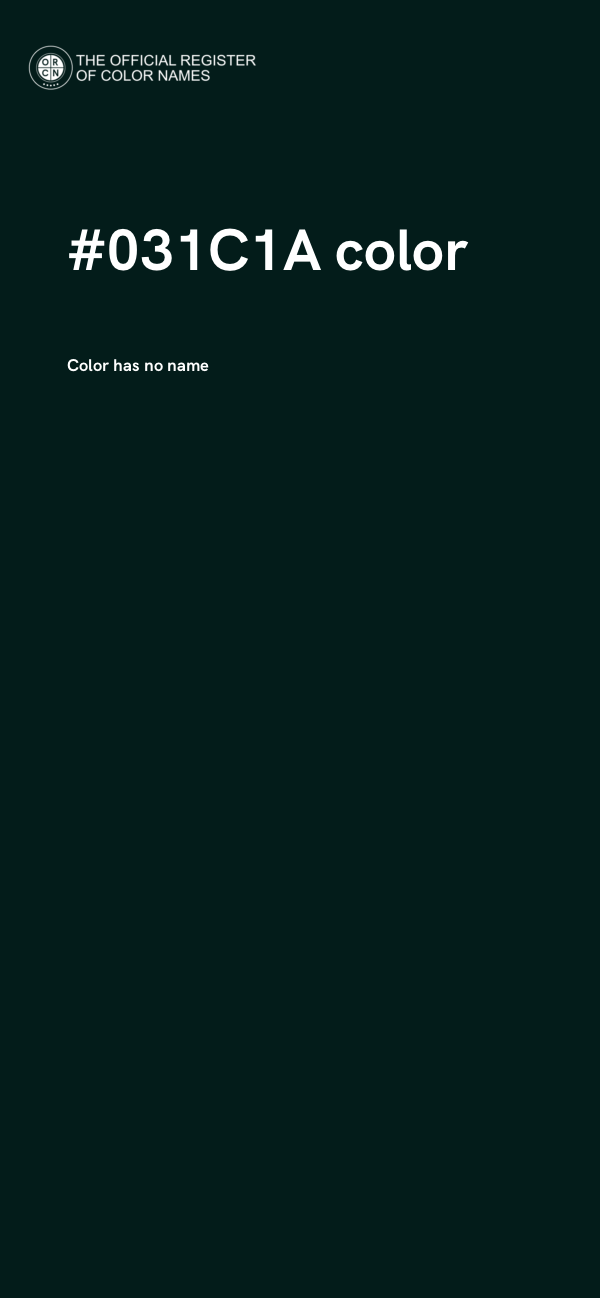 #031C1A color image