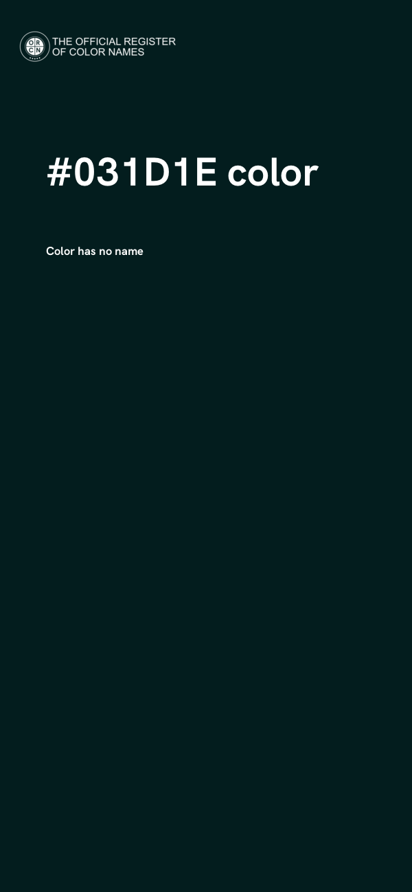 #031D1E color image