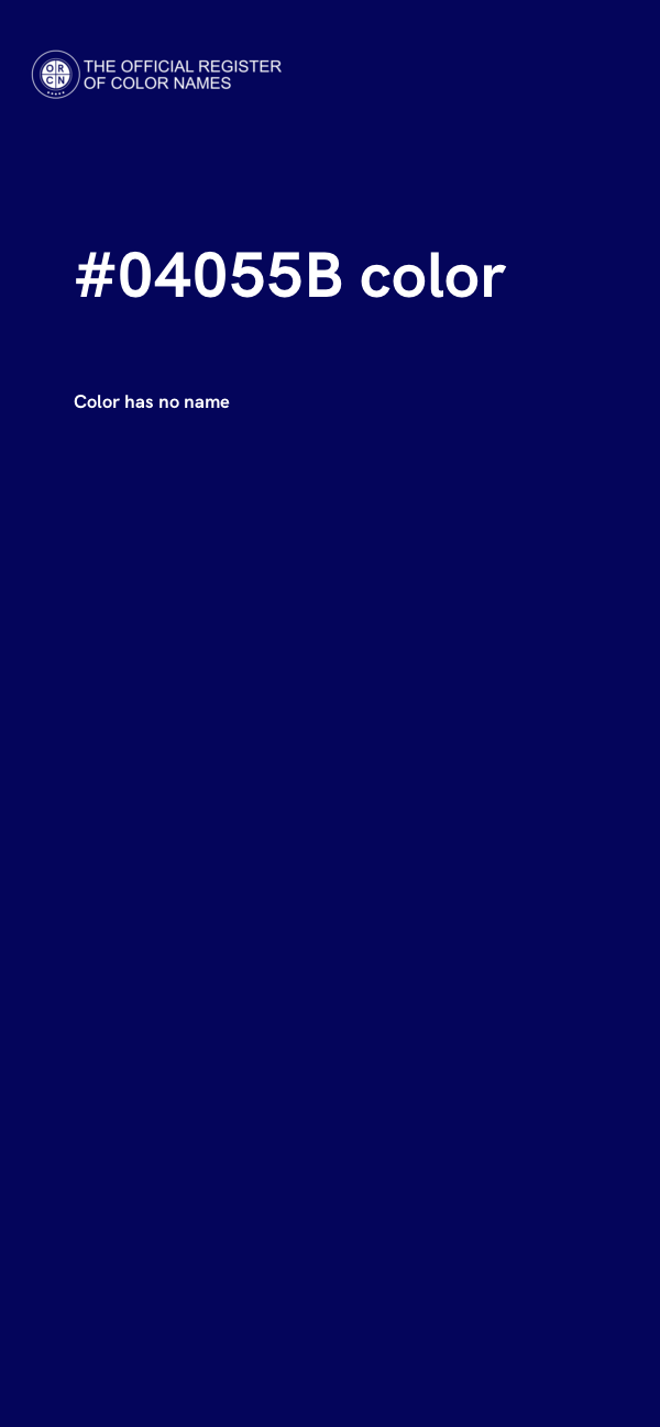 #04055B color image