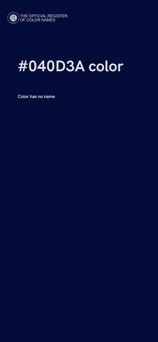 #040D3A color image
