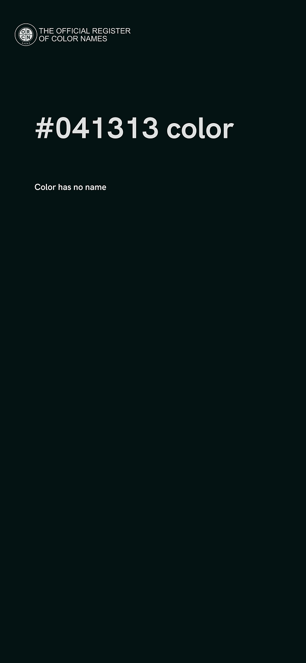 #041313 color image
