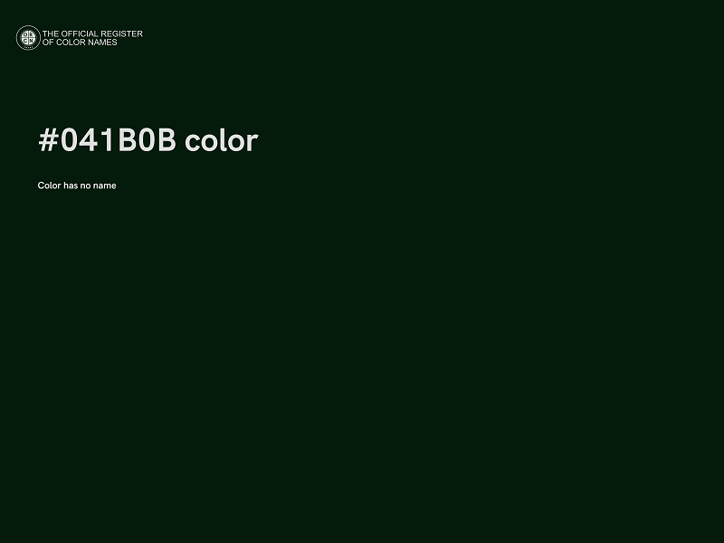 #041B0B color image