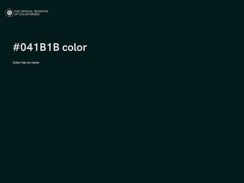 #041B1B color image