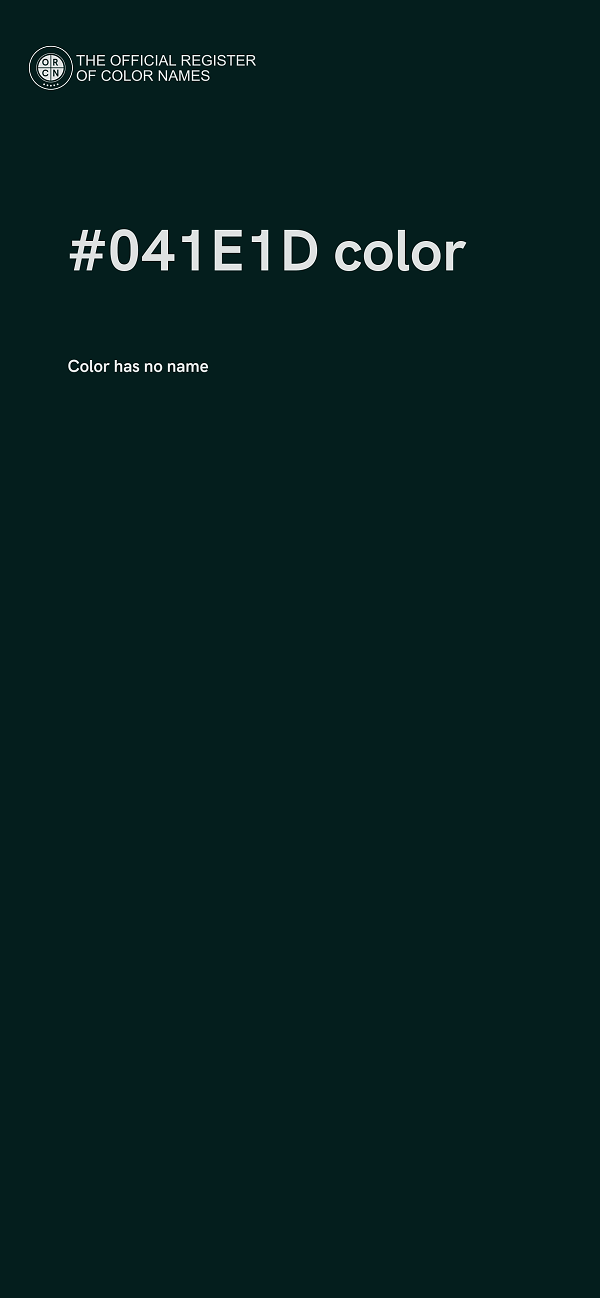 #041E1D color image