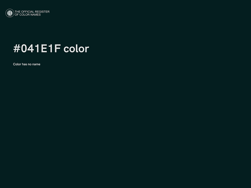 #041E1F color image