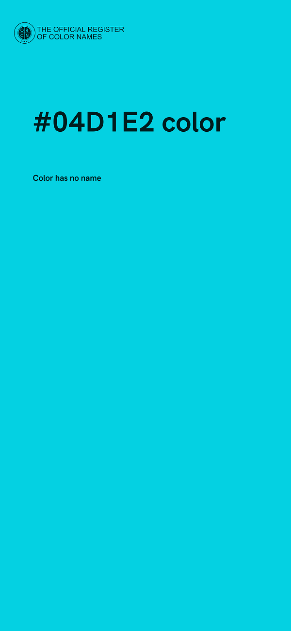 #04D1E2 color image
