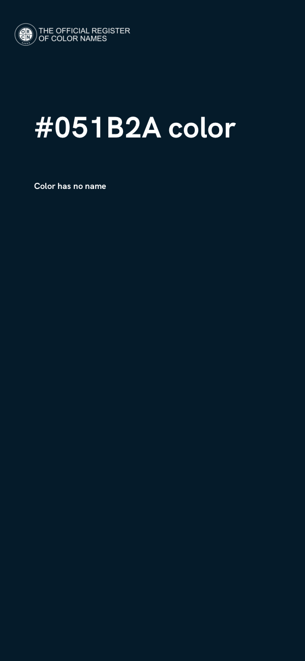 #051B2A color image