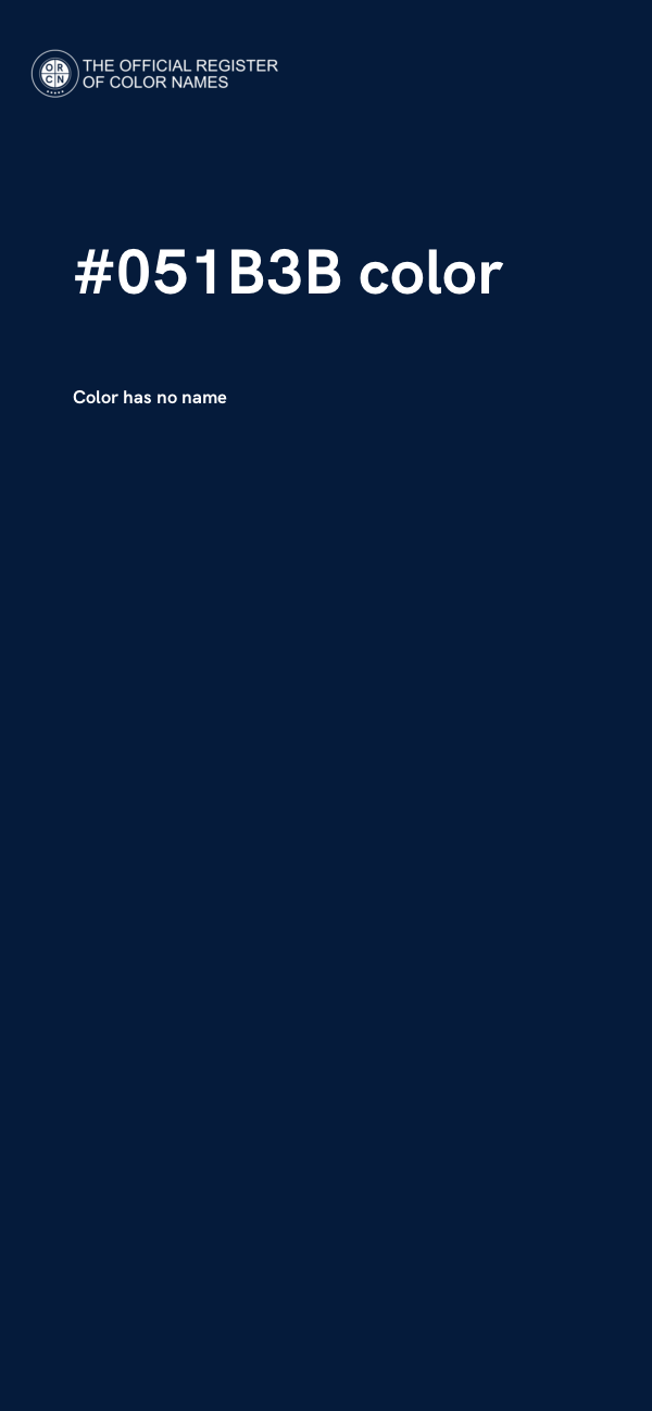#051B3B color image