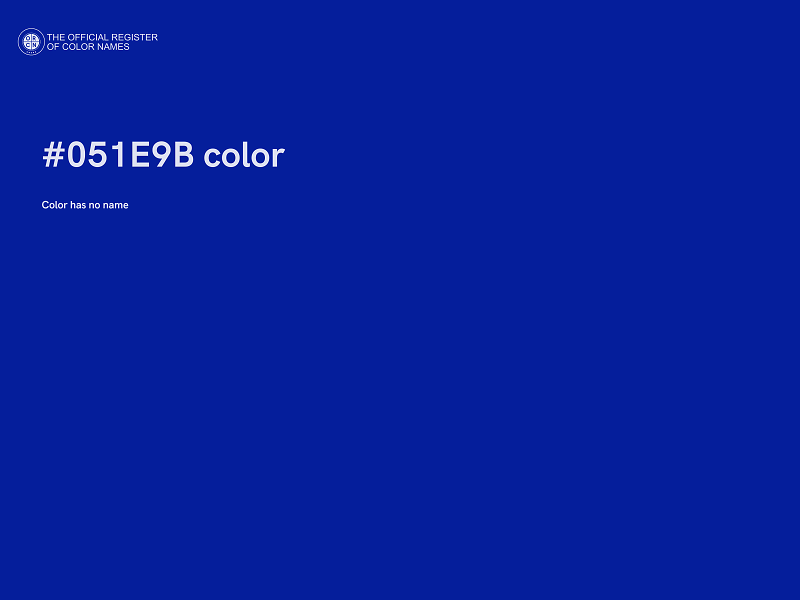 #051E9B color image