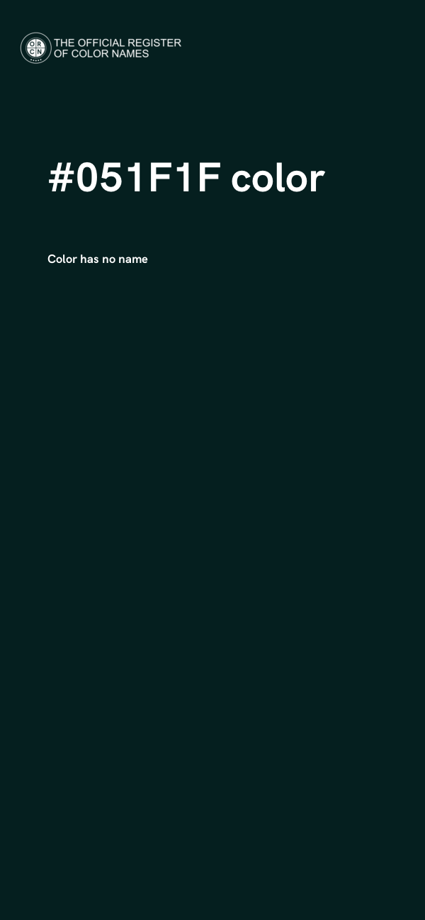 #051F1F color image