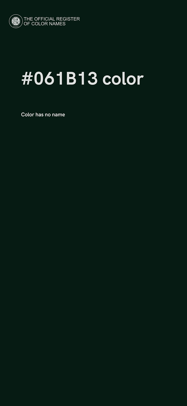 #061B13 color image