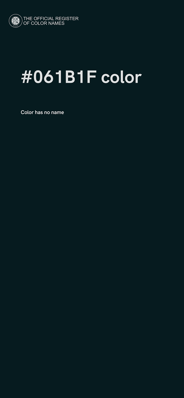 #061B1F color image
