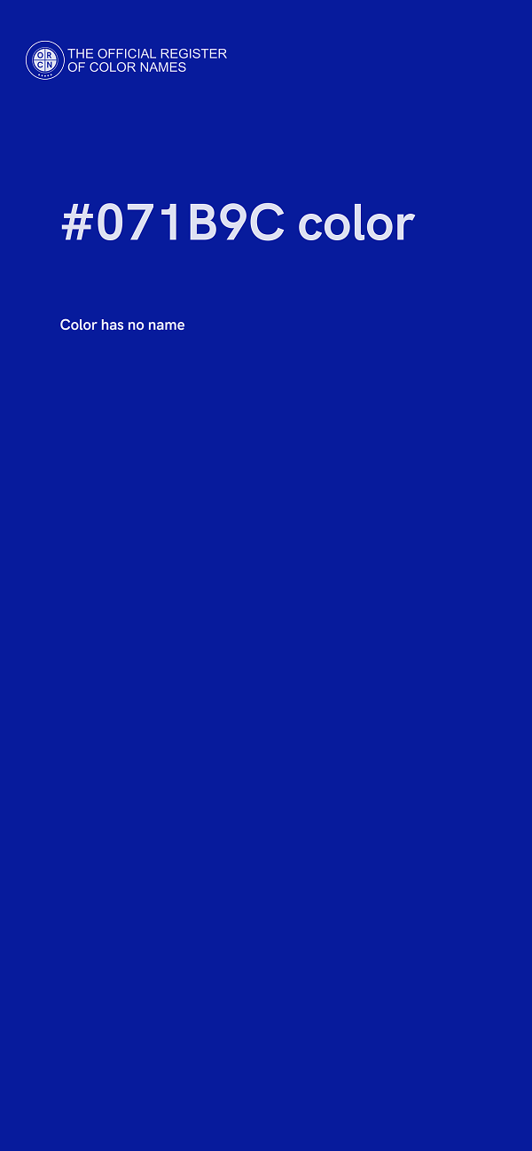 #071B9C color image