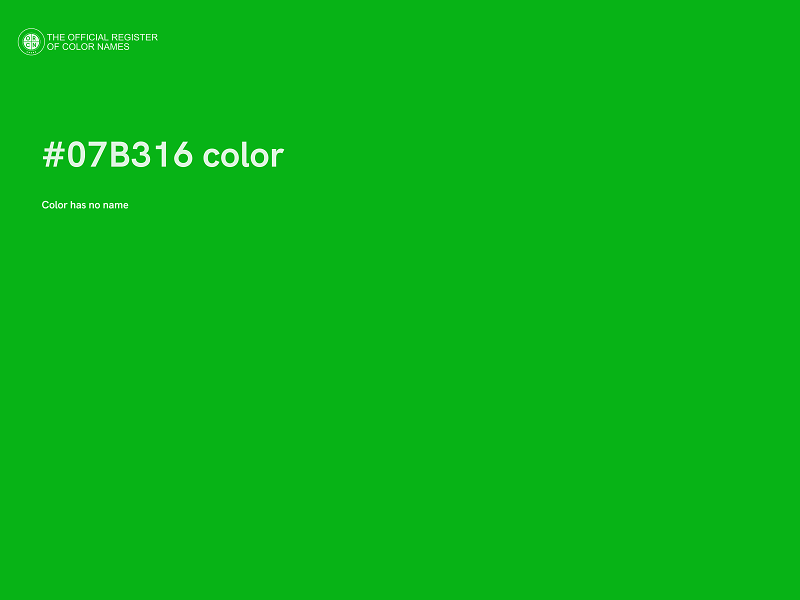 #07B316 color image