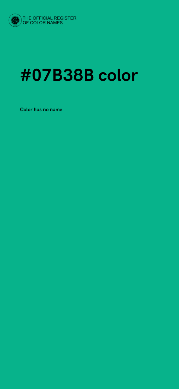 #07B38B color image